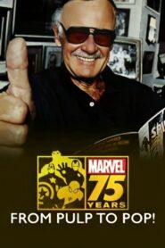 Marvel: 75 Years, from Pulp to Pop! 2014 on netflix