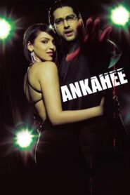 Ankahee 2006 on netflix