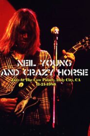 Neil Young & Crazy Horse – In a Rusted Out Garage 1986 on netflix
