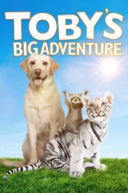 Toby’s Big Adventure 2020 on netflix
