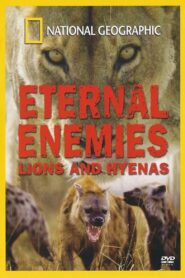 Eternal Enemies: Lions and Hyenas 1992 on netflix