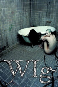 The Wig 2005 on netflix