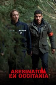 Les Bois assassins 2024 on netflix