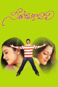 Nee Thodu Kavali 2002 on netflix