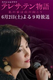テレサ・テン物語～私の家は山の向こう 2007 on netflix