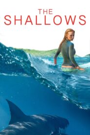 The Shallows 2016 on netflix