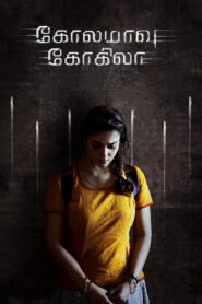 Kolamavu Kokila 2018 on netflix