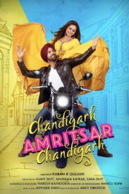 Chandigarh Amritsar Chandigarh 2019 on netflix