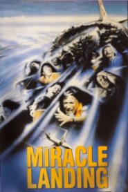 Miracle Landing 1990 on netflix