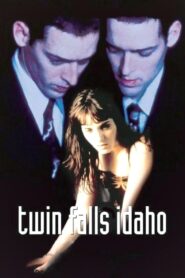 Twin Falls Idaho 1999 on netflix