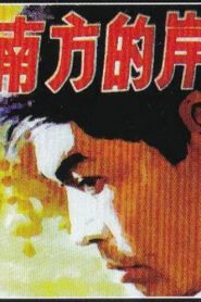 Nan fang de an 1984 on netflix