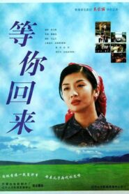 Wait For Your Coming Back 1997 on netflix