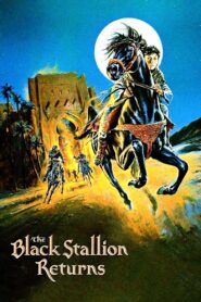 The Black Stallion Returns 1983 on netflix
