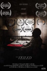 The Veiled 2017 on netflix