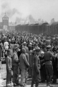 Dr Münch – läkare i Auschwitz 1982 on netflix