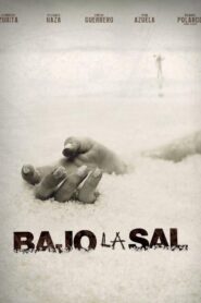 Under the Salt 2008 on netflix