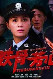 铁骨芳心 2009 on netflix