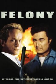 Felony 1994 on netflix