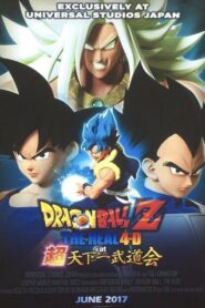 Dragon Ball Z: The Real 4-D at Super Tenkaichi Budokai 2017 on netflix