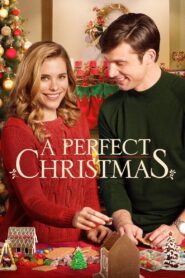 A Perfect Christmas 2016 on netflix