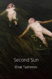 Second Sun 2021 on netflix