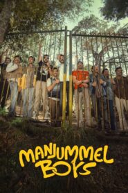 Manjummel Boys 2024 on netflix