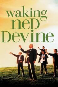 Waking Ned 1998 on netflix