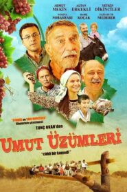 Umut Üzümleri 2013 on netflix