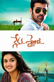 Nenu.. Sailaja… 2016 on netflix