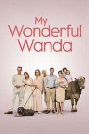 My Wonderful Wanda 2021 on netflix