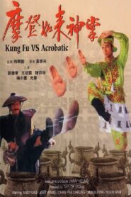 Kung Fu Vs. Acrobatic 1990 on netflix