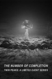 The Number of Completion 2017 on netflix