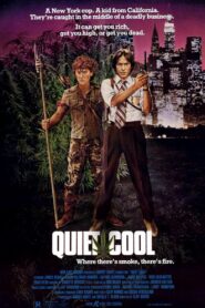 Quiet Cool 1986 on netflix