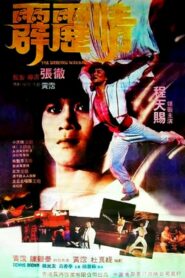 The Dancing Warrior 1985 on netflix