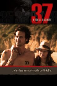 37 2014 on netflix