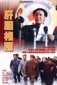 肝胆相照 1999 on netflix
