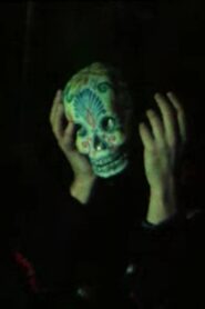 Au cœur du cristal 1980 on netflix