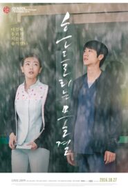Blossom 2016 on netflix