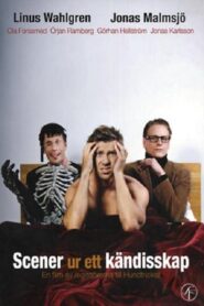 Scenes from a Celebrity Life 2009 on netflix