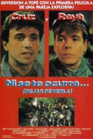 Ni se te ocurra… (dejar de verla) 1991 on netflix