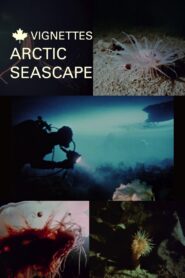 Canada Vignettes: Arctic Seascape 1980 on netflix