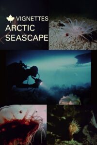 Canada Vignettes: Arctic Seascape 1980 on netflix