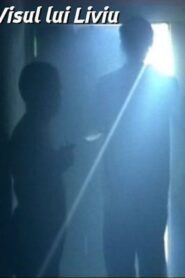 Liviu’s Dream 2004 on netflix