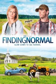 Finding Normal 2013 on netflix