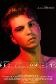 Red Yellow Pink 2020 on netflix