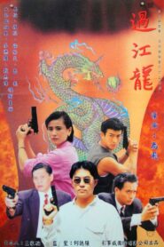 Power Connection 1995 on netflix