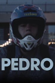 Pedro 2016 on netflix