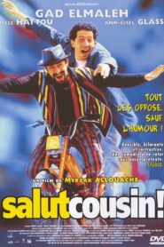 Salut cousin ! 1996 on netflix