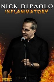 Nick Di Paolo: Inflammatory 2017 on netflix