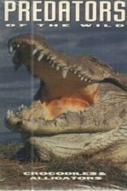 Predators of the Wild: Crocodiles and Alligators 1994 on netflix